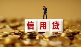 成都高新区哪里可以民间借贷-成都高新区私人借钱当天拿钱-成都高新区贷款联系电话