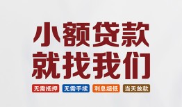 成都高新区小额短借-成都高新区私人借贷平台-成都高新区个人借钱