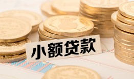 成都高新区哪里有小额贷款-成都高新区身份证贷款平台-成都高新区民间短借