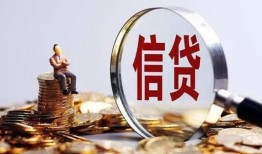 成都高新区个人借贷私借-成都高新区个人贷款联系电话-成都高新区身份证借私借