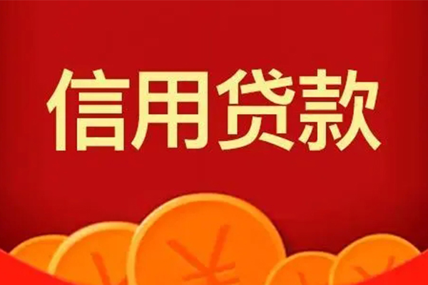 成都高新区个人私借